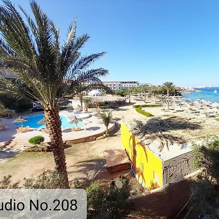 Alia Beach Residence ฮูร์กาดา ห้อง รูปภาพ